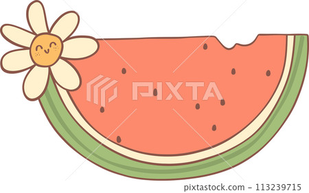 Groovy retro summer watermelon Groovy retro summer watermelon 113239715