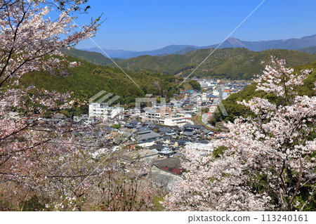 [高知縣] 晴朗的日子，牧野公園櫻花盛開 113240161