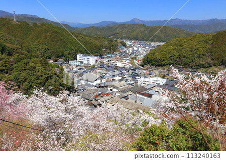 [高知縣] 晴朗的日子，牧野公園的櫻花盛開（物岩） 113240163