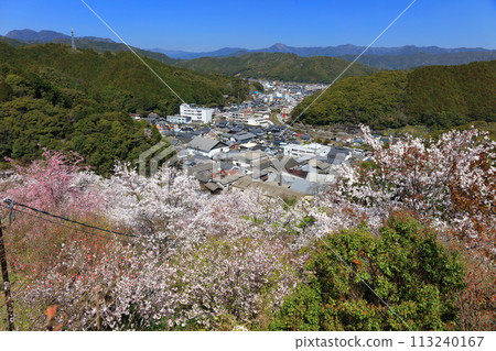 [高知縣] 晴朗的日子，牧野公園的櫻花盛開（物岩） 113240167
