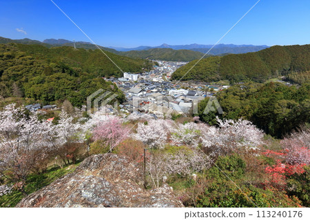 [高知縣] 晴朗的日子，牧野公園的櫻花盛開（物岩） 113240176