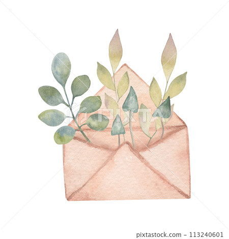 Composition of mushrooms with leaves in a brown paper envelope. Vegetable watercolor illustration. Hand drawn isolated art. Botanical autumn sketch for thanksgiving, harvest, nature, ecology projects Composition of mushrooms with leaves in a brown paper envelope. Vegetable watercolor illustration. Hand drawn isolated art. Botanical autumn sketch for thanksgiving, harvest, nature, ecology projects 113240601