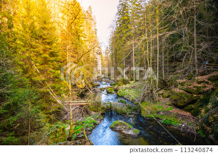 The Kamenice River meanders through a verdant gorge bathed in sunlight in Bohemian Switzerland National Park. Czechia 113240874