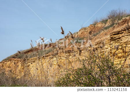 Wild beach in the village of Fontanka, Odessa region, Ukraine Wild beach in the village of Fontanka, Odessa region, Ukraine 113241158