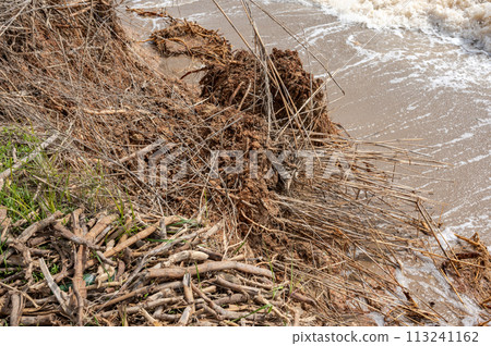 Wild beach in the village of Fontanka, Odessa region, Ukraine Wild beach in the village of Fontanka, Odessa region, Ukraine 113241162