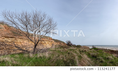 Wild beach in the village of Fontanka, Odessa region, Ukraine Wild beach in the village of Fontanka, Odessa region, Ukraine 113241177