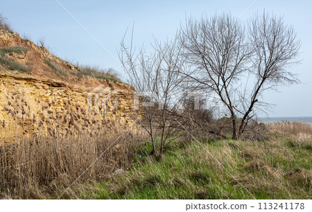 Wild beach in the village of Fontanka, Odessa region, Ukraine Wild beach in the village of Fontanka, Odessa region, Ukraine 113241178
