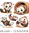 carefree ferret 113241434