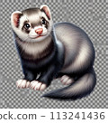 Ferret looking up 113241436