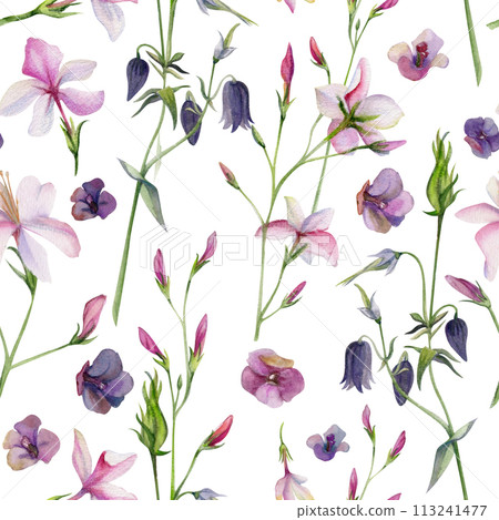 Hand drawn watercolor illustration shabby boho botanical leaves. Pink lobelia jasmine orange flower impatiens. Seamless pattern isolated on white background. Design wedding, love cards, gift paper Hand drawn watercolor illustration shabby boho botanical leaves. Pink lobelia jasmine orange flower impatiens. Seamless pattern isolated on white background. Design wedding, love cards, gift paper 113241477