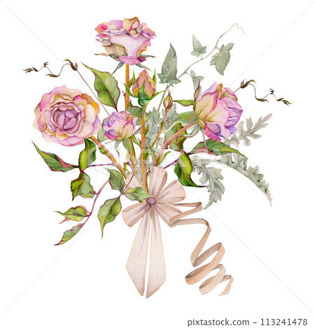 Hand drawn watercolor illustration shabby boho botanical flowers leaves. Dusty pink tea rose, ivy tendrils, silver cineraria with bow tie. Bouquet isolated white background. Design wedding, love cards Hand drawn watercolor illustration shabby boho botanical flowers leaves. Dusty pink tea rose, ivy tendrils, silver cineraria with bow tie. Bouquet isolated white background. Design wedding, love cards 113241478