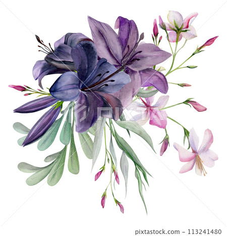 Hand drawn watercolor illustration botanical flowers leaves. Lily clivia amaryllis, pink lobelia jasmine, willow eucalyptus locust. Bouquet isolated on white background. Design wedding, love cards 113241480