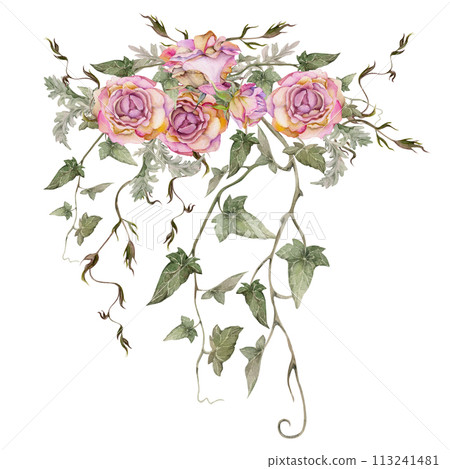 Hand drawn watercolor illustration shabby boho botanical flowers leaves. Dusty pink tea rose buds, ivy tendrils silver cineraria. Bouquet isolated on white background. Design wedding, love cards, shop 113241481
