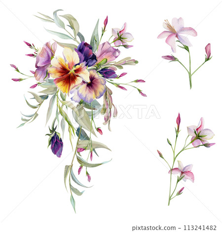 Hand drawn watercolor illustration botanical flowers leaves. Pansy viola, ash maple keys seeds, pink lobelia jasmine, willow eucalyptus. Bouquet isolated white background. Design wedding, love cards 113241482
