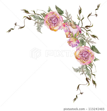 Hand drawn watercolor illustration shabby boho botanical flowers leaves. Dusty pink tea rose buds, ivy tendrils, silver cineraria. Corner frame isolated on white background. Design wedding, love cards Hand drawn watercolor illustration shabby boho botanical flowers leaves. Dusty pink tea rose buds, ivy tendrils, silver cineraria. Corner frame isolated on white background. Design wedding, love cards 113241483