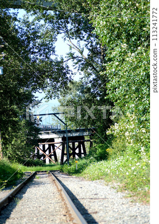 Pylon and cable stay tubes of Port Mann Bridge, white stay tubes, concrete column, industrial, metal, blue sky, white clouds 113241772