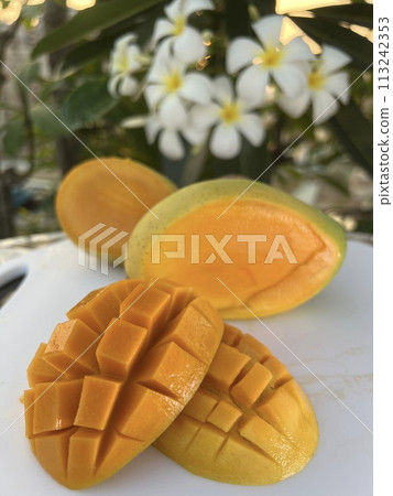 Sweet juicy ripe yellow mangoes on a green background under harsh shadow 113242353