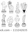 Set of cactus in pots in the doodle style, painted by hand. The coloring page.  113242635