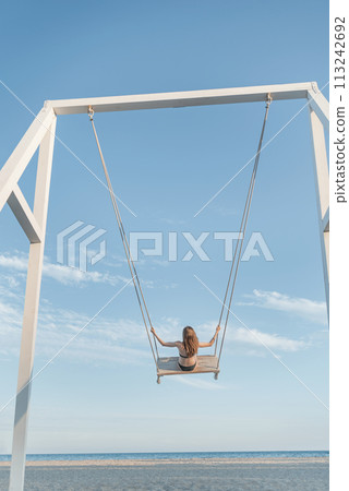 Girl with long hair on rope swing against on sea and blue sky background. Concept of freedom and child carelessness. Vertical frame. 113242692