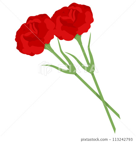 Red carnation on transparent background. Vector illustration for decoration of postcard for May 9th 113242793