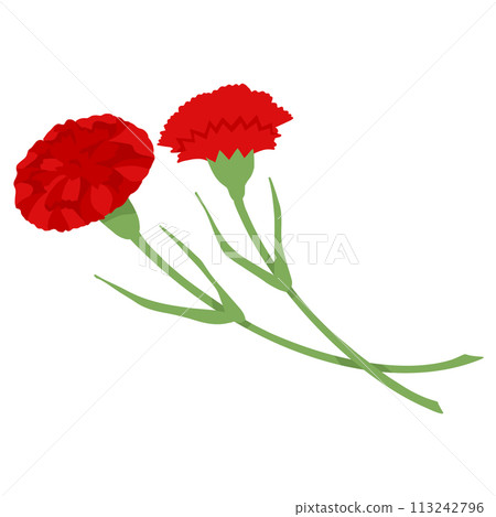 Red carnation on transparent background. Vector illustration for decoration of postcard for May 9th 113242796