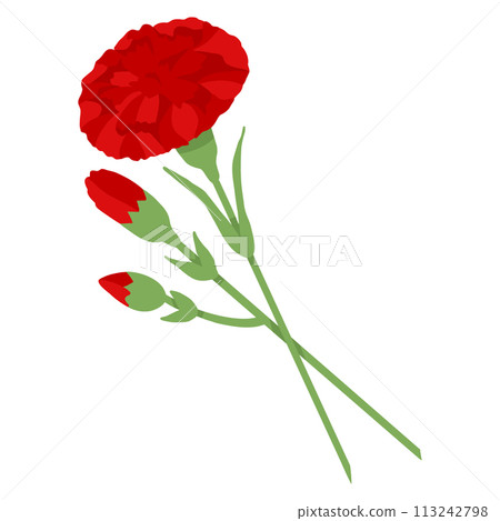 Red carnation on transparent background. Vector illustration for decoration of postcard for May 9th 113242798