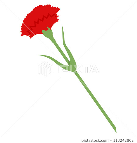 Red carnation on transparent background. Vector illustration for decoration of postcard for May 9th Red carnation on transparent background. Vector illustration for decoration of postcard for May 9th 113242802