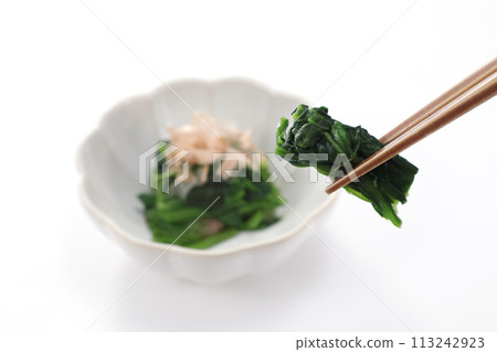 Spinach Spinach 113242923