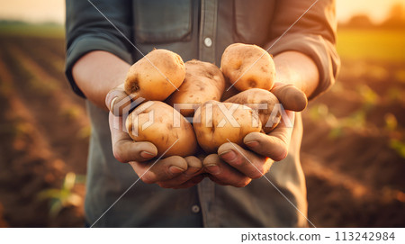 Farmers hands with bio potatoes Farmers hands with bio potatoes 113242984