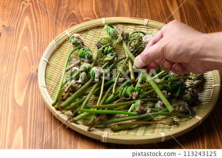 春天成分: 春天(玫瑰) 113243125