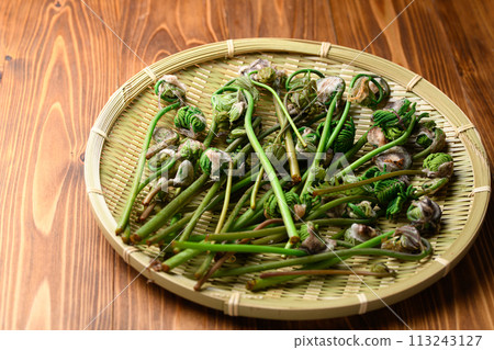 春天成分: 春天(玫瑰) 113243127