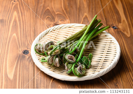 春天成分: 春天(玫瑰) 113243131