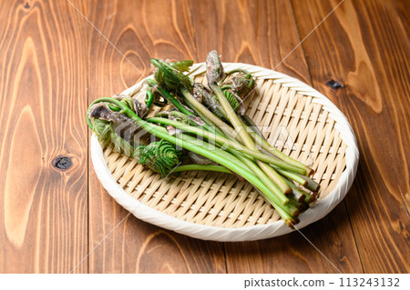 春天成分: 春天(玫瑰) 113243132