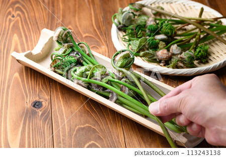 春天成分: 春天(玫瑰) 113243138