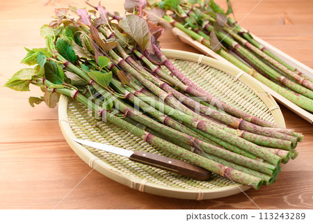 Spring Ingredients: Japanese Knotweed (Itadori) 113243289