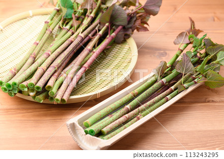 Spring Ingredients: Japanese Knotweed (Itadori) Spring Ingredients: Japanese Knotweed (Itadori) 113243295