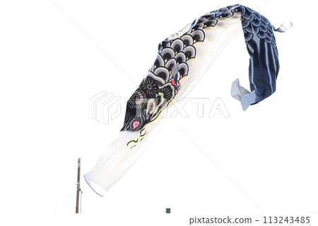 鯉魚流在天空中跳舞 113243485