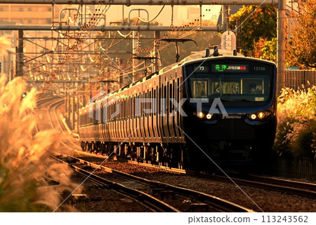 Sotetsu 12000 series train running in the setting sun 113243562