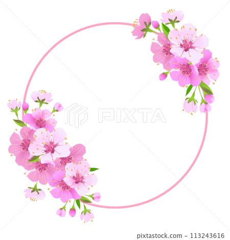 Vector wreath of sakura. Round frame with branches of cherry blossoms. Pink Edo-Higan flowers on a white background. Composition for a wedding invitation, congratulations on Mother's Day. Vector wreath of sakura. Round frame with branches of cherry blossoms. Pink Edo-Higan flowers on a white background. Composition for a wedding invitation, congratulations on Mother's Day. 113243616