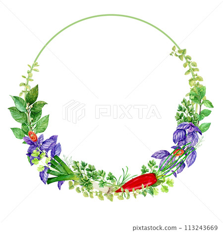 Watercolor frame of herbs isolated on white background. Floral illustration for foam design, product packaging. Culinary herbs mint, bay leaf, basil, dill, tarragon, oregano, pepper, onion, leek. Watercolor frame of herbs isolated on white background. Floral illustration for foam design, product packaging. Culinary herbs mint, bay leaf, basil, dill, tarragon, oregano, pepper, onion, leek. 113243669
