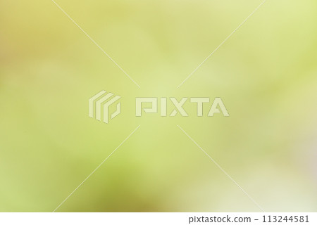 綠色背景素材 113244581