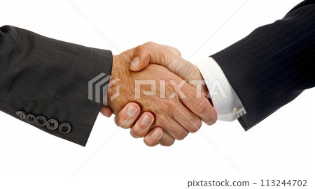 Business Handshake Sealing a Deal on White Background 113244702