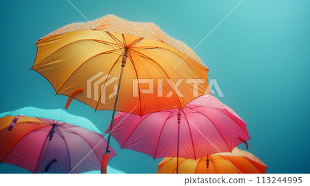 Colorful vinyl umbrella 113244995