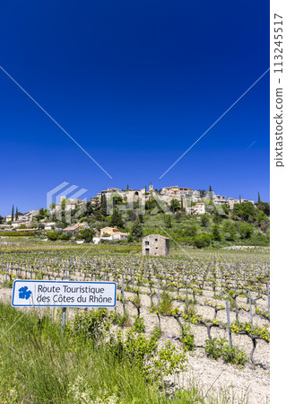 Typical vineyard with Wine road (Route Touristique des Cotes du Rhone) near Faucon, Cotes du Rhone, France 113245517