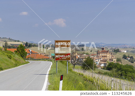 Typical vineyard near Barolo, Barolo wine region, province of Cuneo, region of Piedmont, Italy Typical vineyard near Barolo, Barolo wine region, province of Cuneo, region of Piedmont, Italy 113245626