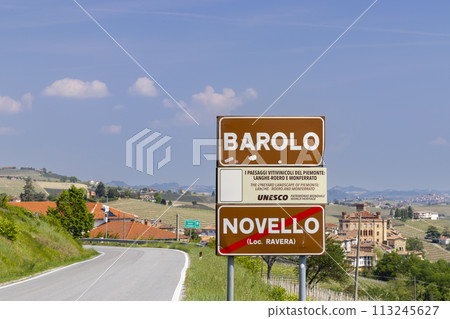 Typical vineyard near Barolo, Barolo wine region, province of Cuneo, region of Piedmont, Italy 113245627
