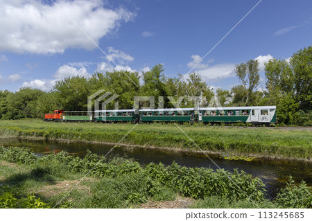 Narrow gauge railway from Balatonfenyves to Csisztafurdo near Balaton, Somogy region, Hungary 113245685