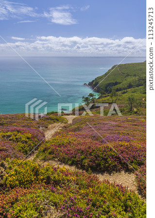 Landscape in Cap de la Chevre, Crozon, Brittany, France Landscape in Cap de la Chevre, Crozon, Brittany, France 113245713