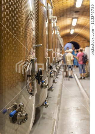 Modern production wine cellar with stainless steel tank, Southern Moravia, Czech Republic 113245789