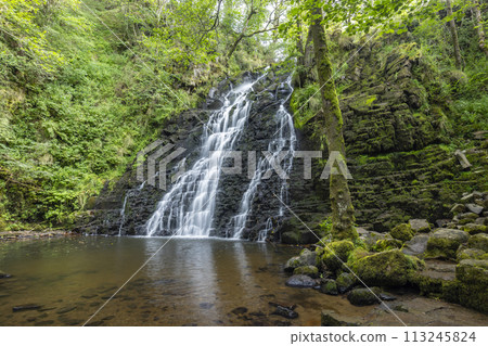 Waterfall Cascade de la Roche near Cheylade, French highlands, France 113245824